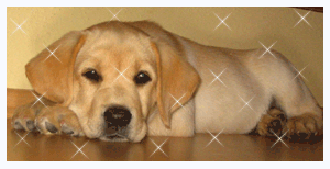 469097.gif