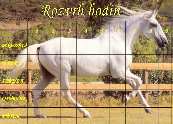 konskysej rozvrh.jpg